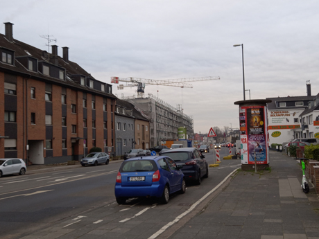 Koeln Poll